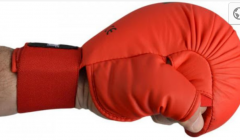 SMAI KARATE ELDİVENİ-WKF