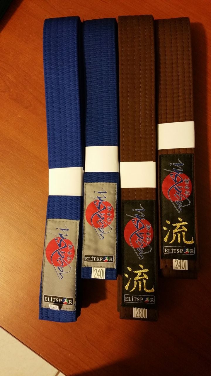 NAGASHİ RENKLİ KEMER (*KARGO ALICIYA AİTTİR)