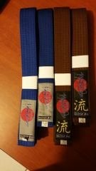 NAGASHİ RENKLİ KEMER (*KARGO ALICIYA AİTTİR)