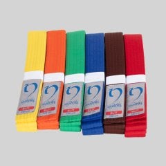 NAGASHİ RENKLİ KEMER (*KARGO ALICIYA AİTTİR)